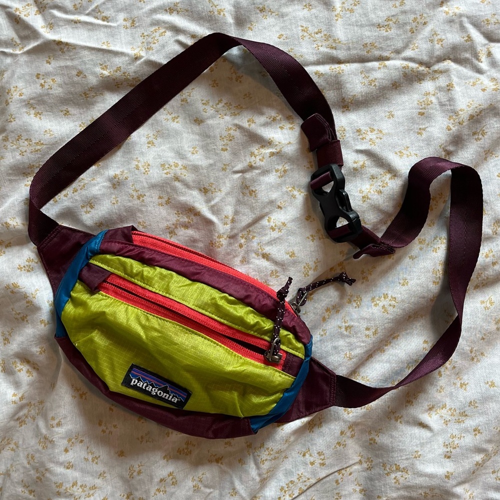 Patagonia Crossbody Fanny Pack 1L Bag